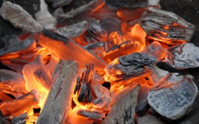 Le charbon de bois : savoir bien l’acheter et l’utiliser, pour réussir vos barbecues !