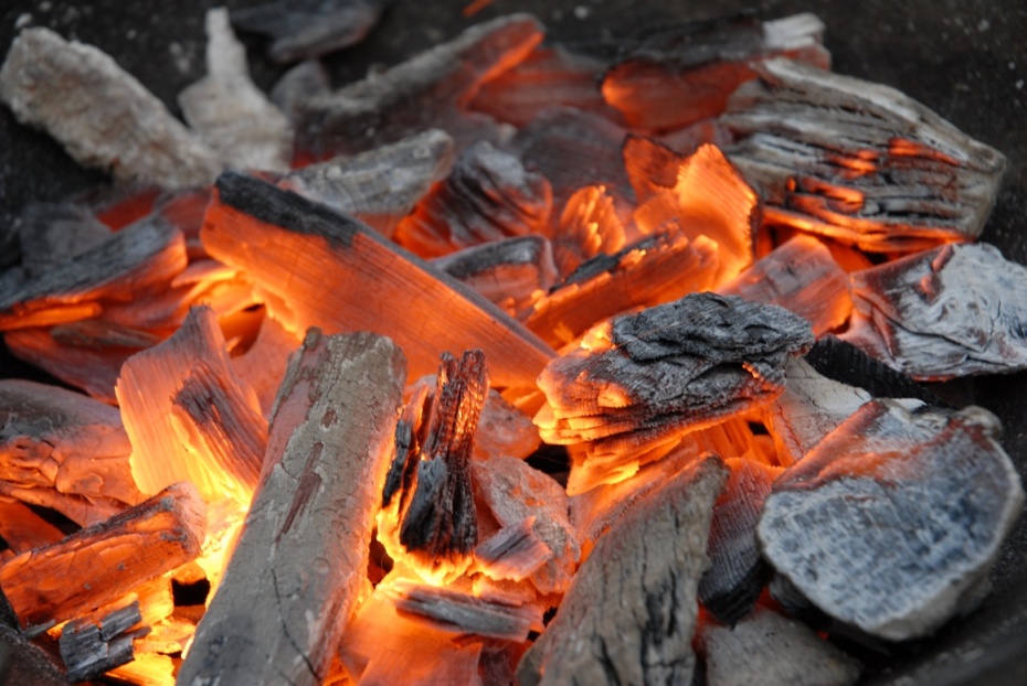 Le charbon de bois : savoir bien l’acheter et l’utiliser, pour réussir vos barbecues !