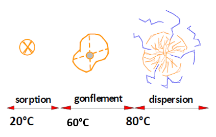 schéma gélatinisation de l'amidon