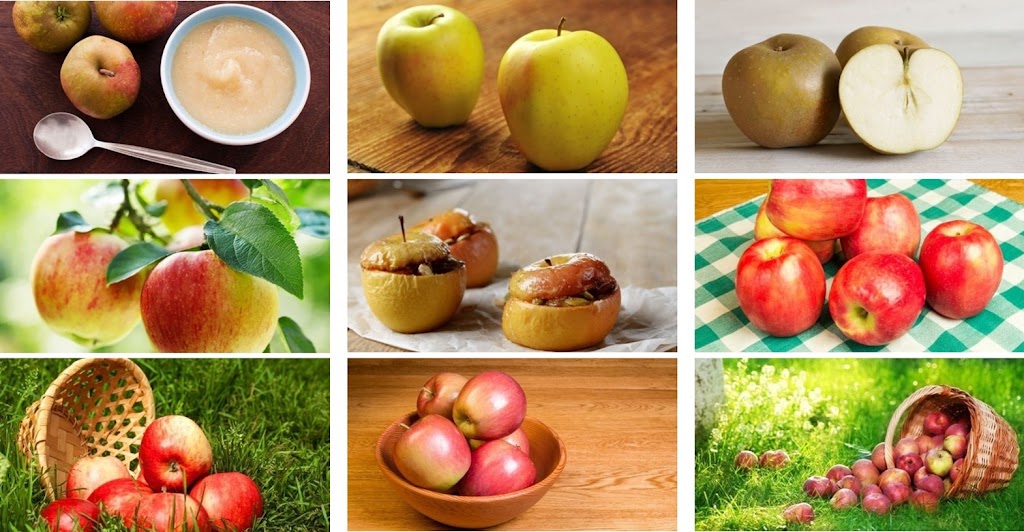 Mangez des pommes … oui mais lesquelles ?