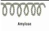 représentation schématique de l'amylose