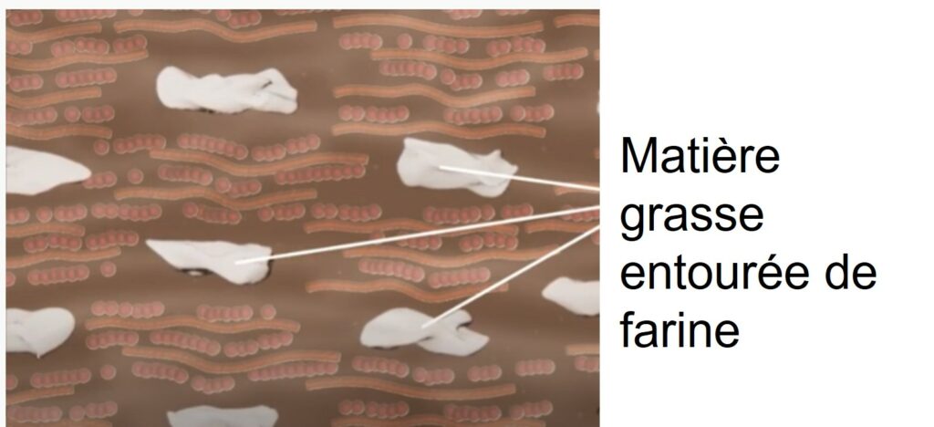 représentation schématique de l'action des matières grasses sur le réseau de gluten.