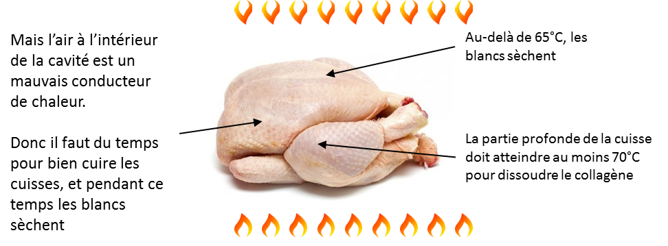 températures de cuisson des différentes parties du poulet
