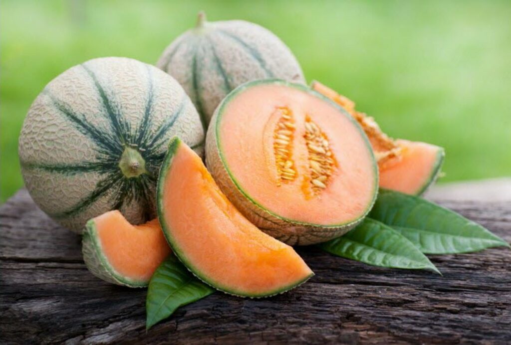 Melon