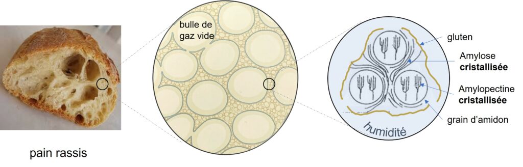 représentation schématique du pain rassis