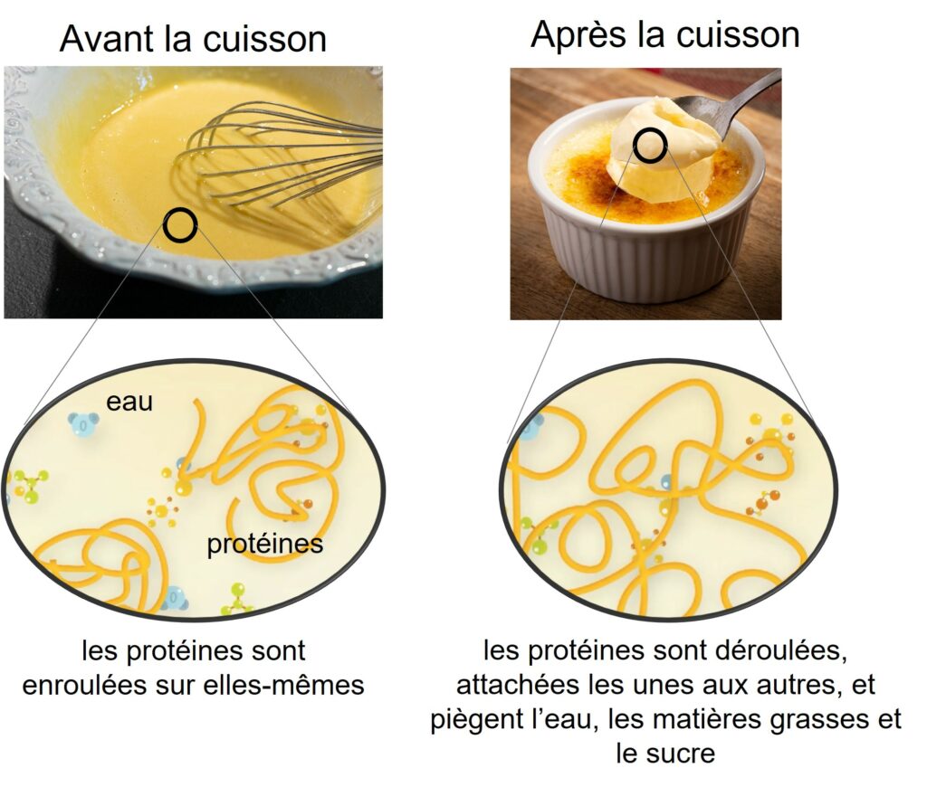 représentation schématique de la coagulation des jaunes dans la crème brûlée.