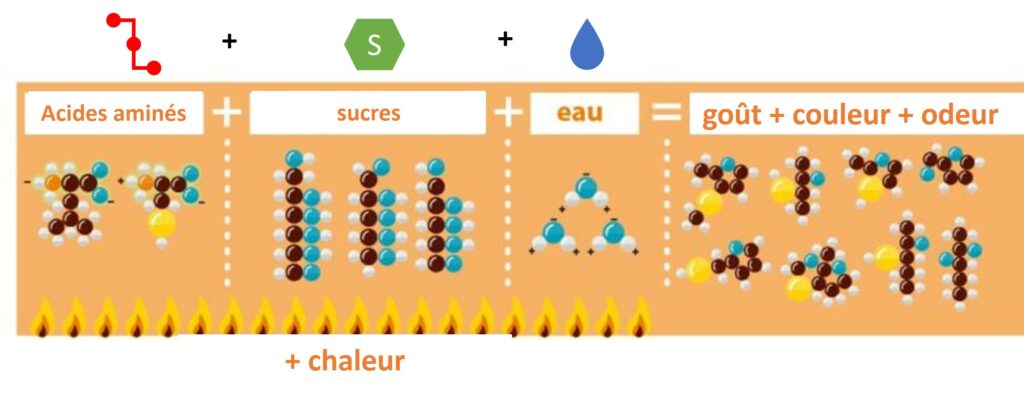 représentation schématique des réactions de glycation (Maillard)