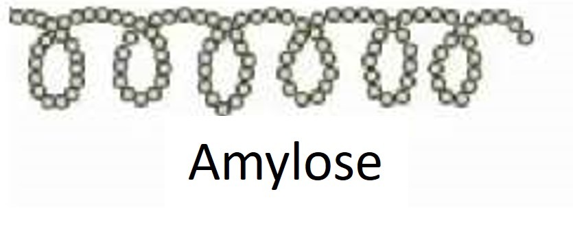représentation schématique de l'amylose.