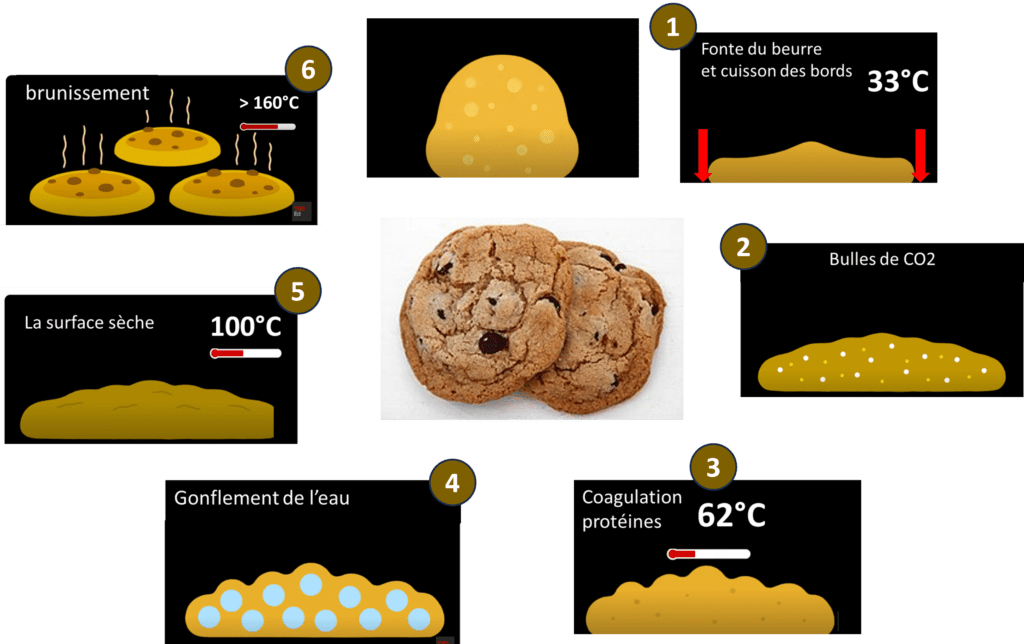 Les 6 grandes étapes de la cuisson des cookies
