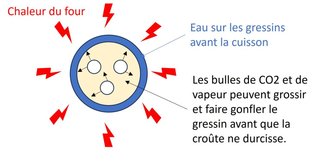 Représentation schématique du rôle de l'eau sur le gonflement des gressins