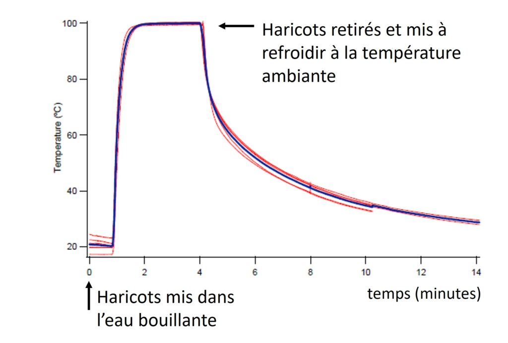 Evolution de la température à l'intérieur des haricots.