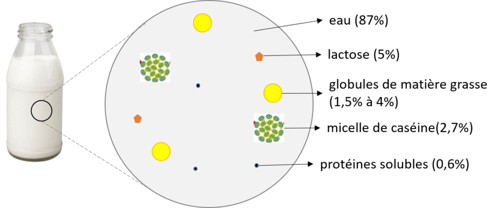 composition du lait