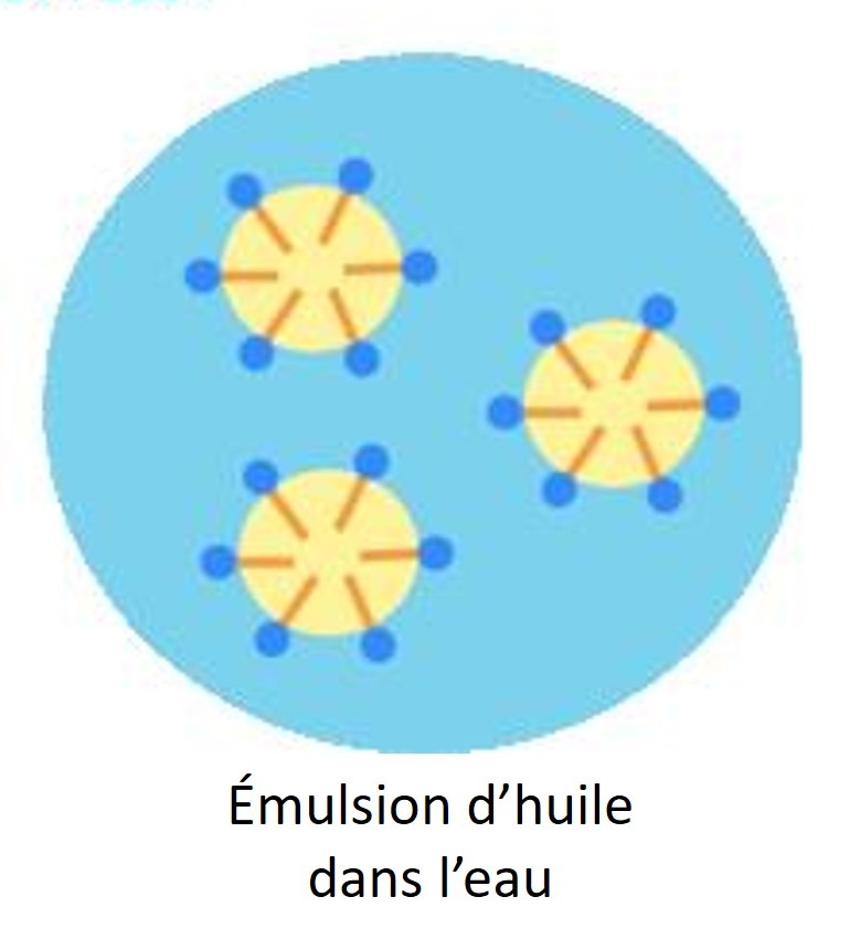 représentation schématique d'une émulsion d'huile dans l'eau.