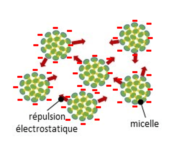 Représentation schématique des micelles de caséine dans le lait.