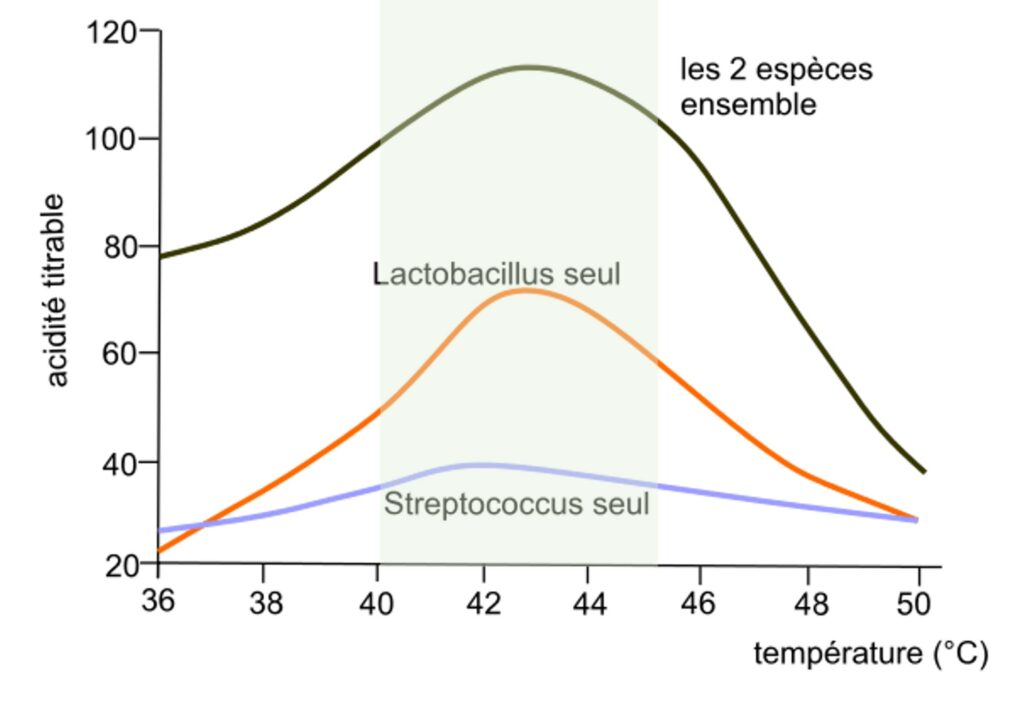 Activité des ferments lactiques en fonction de la température de fermentation.