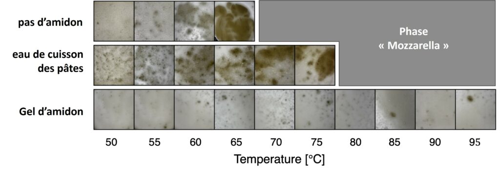 Visualisation de l'effet de l'amidon sur un mélange d'eau et de pecorino à différentes températures.