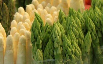 Des asperges (presque) aussi douces qu’au premier jour