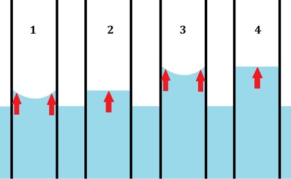 représentation schématique de la capillarité.