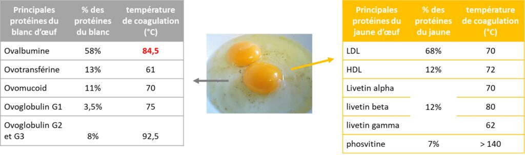 températures de coagulation des protéines du blanc et du jaune d'oeuf.