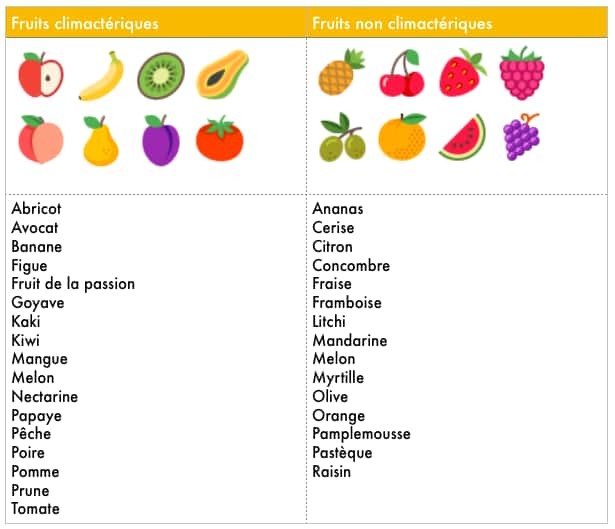 liste des fruits climactériques et non climactériques.
