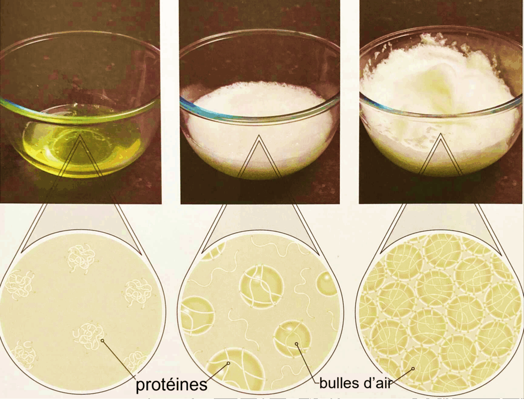 Représentation schématique de la structure de blancs d'oeufs fouettés.