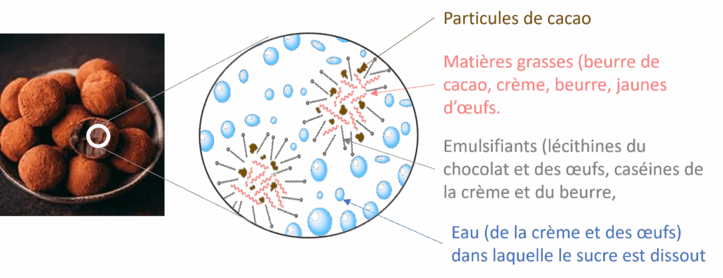 Représentation schématique de l'émulsion d'une truffe en chocolat.